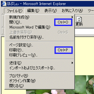 hd̉ʂ猩V[gJbgL[